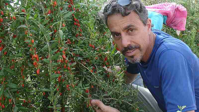 Chris Kilham - Medicine Hunter Chris Kilham with Goji Berry in China, tags: groupe - CC BY-SA